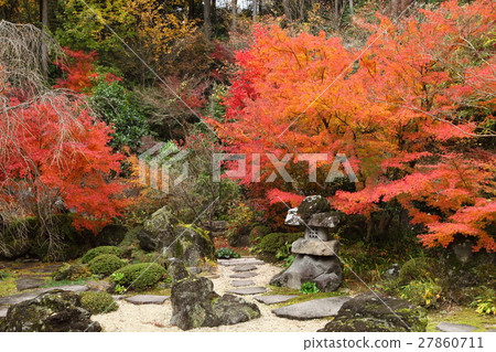 Autumn leaves of Zenji Temple 27860711