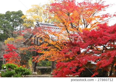 Zenji寺廟秋葉 Zenji寺廟秋葉 27860712
