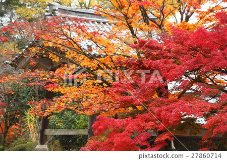 Autumn leaves of Zenji Temple 27860714