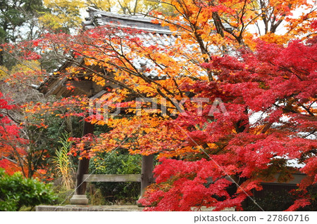 Zenji寺廟秋葉 Zenji寺廟秋葉 27860716