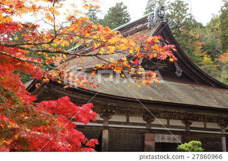Autumn leaves of Zenji Temple 27860966