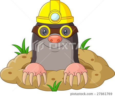 Cartoon funny mole wearing helmet and glasses 27861769