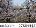 Himeji Castle and Sakura 27864442