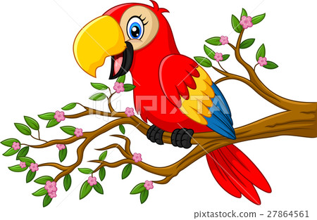 Cute parrot on the branch 27864561