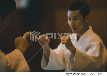 空手道 空的手 武術 27864756