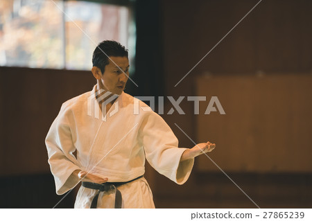 karate, empty hand, figure 27865239