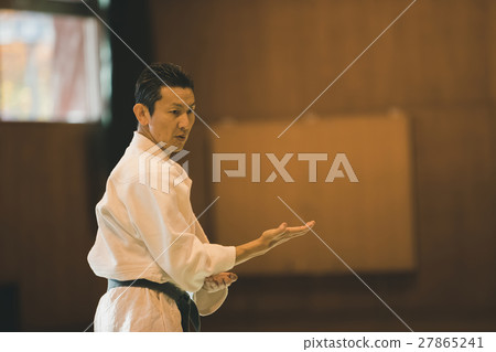 karate, empty hand, figure 27865241
