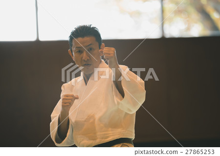 karate, empty hand, figure 27865253