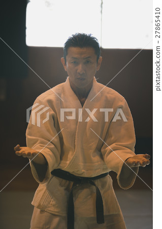 karate, empty hand, figure 27865410