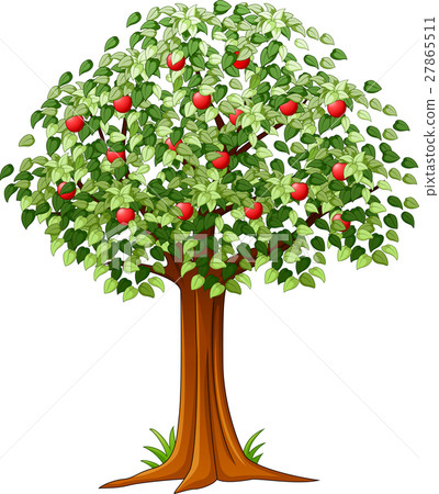 Green Apple tree full of red apples isolated - Stock Illustration ...