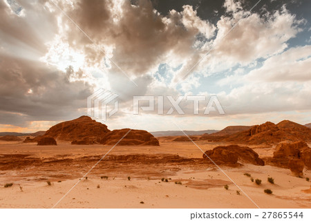 Gold arid desert landscape Sinai, Egypt Gold arid desert landscape Sinai, Egypt 27865544
