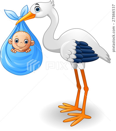 stork bird carrying baby