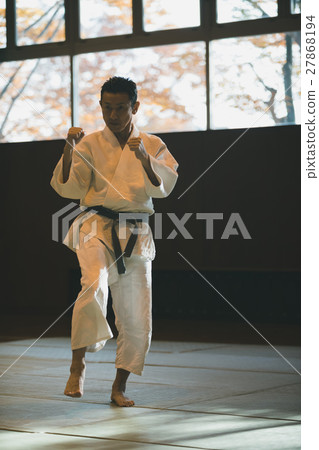 空手道 空的手 人物 27868194
