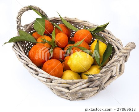 basket of citrus basket of citrus 27869618