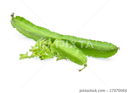 winged bean on white background 27870088
