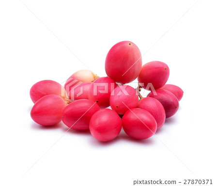 Carunda or Karonda on white background 27870371