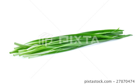 Garlic chives on white background 27870474