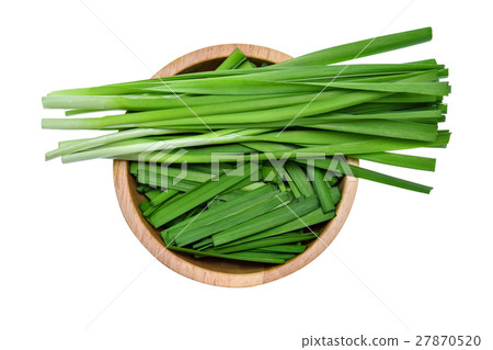 Garlic chives isolated on white background 27870520