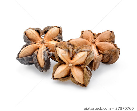 sacha inchi peanut seed on white background sacha inchi peanut seed on white background 27870760