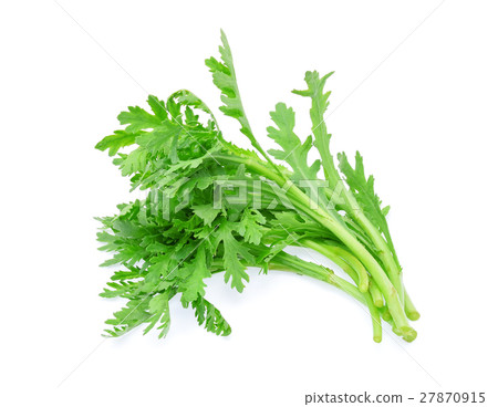 edible chrysanthemum leaf isolated on white 27870915