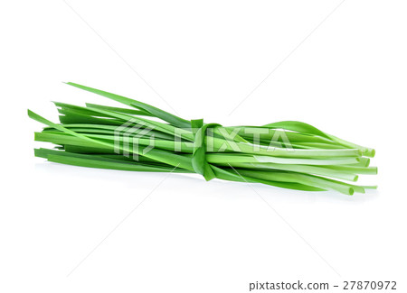 Garlic chives on white background Garlic chives on white background 27870972
