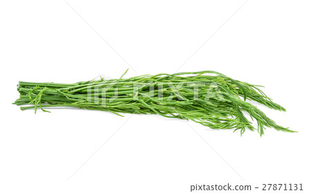 Climbing wattle,cha-om on white background 27871131