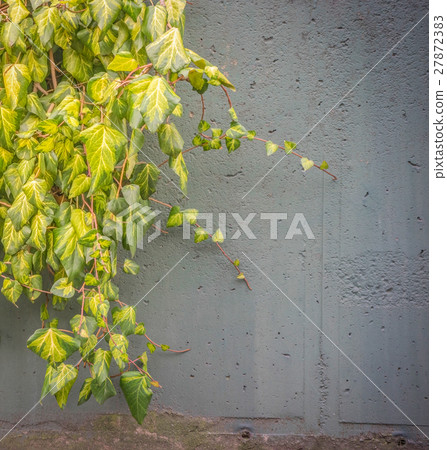 Green plants growing over a stone wall 27872383