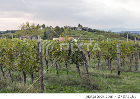 Landscape with vineyards and village at sunset 27873165