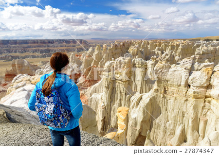 Hiker admiring views of Coal Mine canyon Hiker admiring views of Coal Mine canyon 27874347