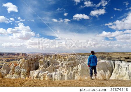 Hiker admiring views of Coal Mine canyon Hiker admiring views of Coal Mine canyon 27874348