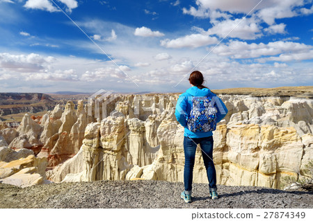 Hiker admiring views of Coal Mine canyon 27874349