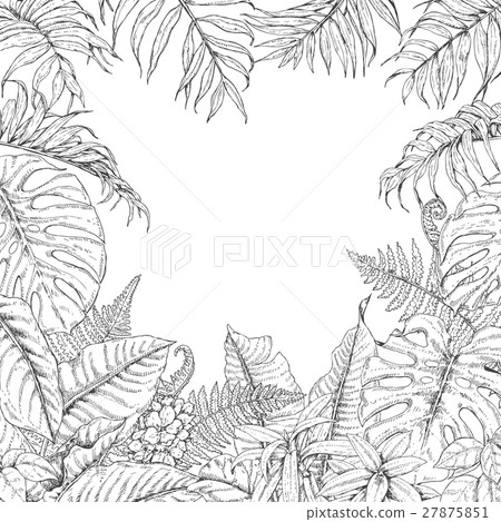 Tropical Plants Frame 27875851