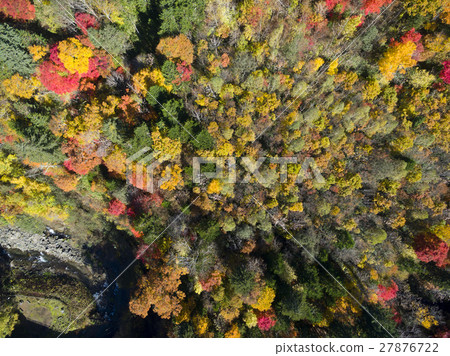 Eniwa Valley in the fall (Aerial photographing overhead view) 27876722