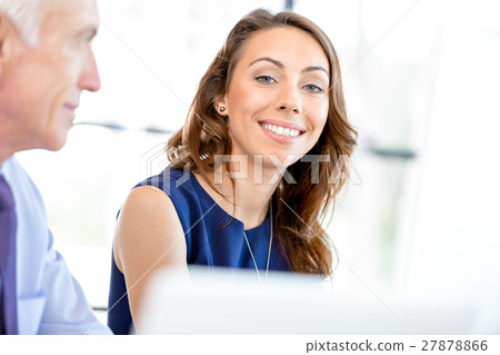 Business people having meeting 27878866