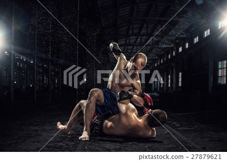 Battle of two boxers Battle of two boxers 27879621