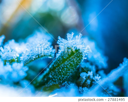 在冬天早晨做的霜水晶 27881495