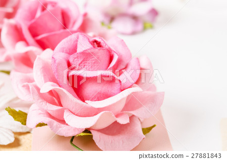 Beautiful pink roses. Beautiful pink roses. 27881843