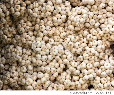 dry garlic for sell dry garlic for sell 27882131