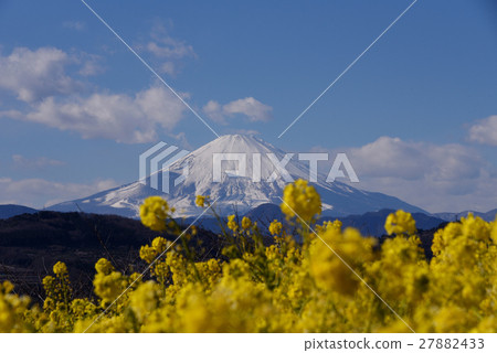 Azumayama Park early spring 27882433