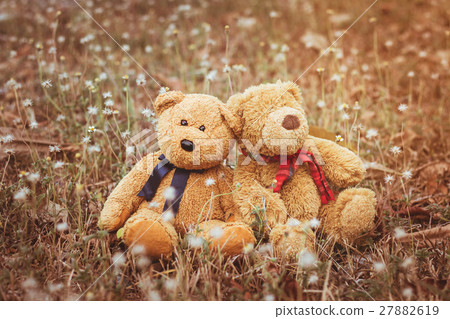 Couple teddy bear sitting on the meadow Couple teddy bear sitting on the meadow 27882619