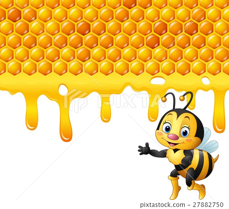 Cartoon bee with honeycomb and honey dripping 27882750