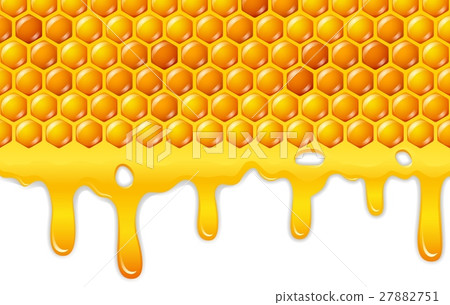 Cartoon honeycomb with honey dripping Cartoon honeycomb with honey dripping 27882751