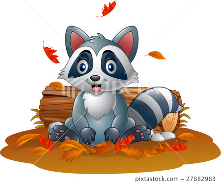 Cartoon raccoon in the autumn weather Cartoon raccoon in the autumn weather 27882983