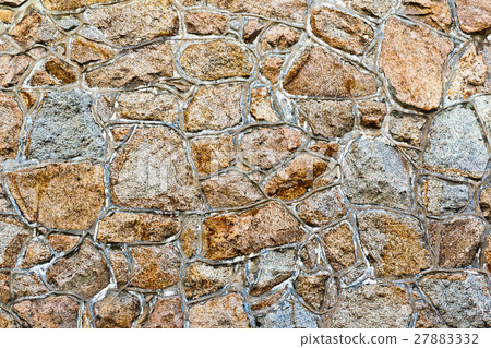 Roots on the wall texture background 27883332