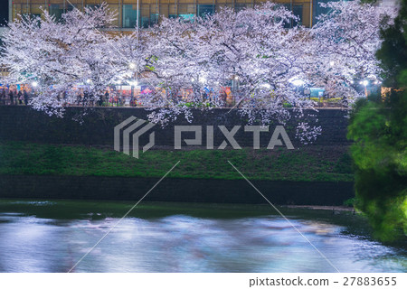 Cherry blossoms in Tokyo, Japan Cherry blossoms in Tokyo, Japan 27883655