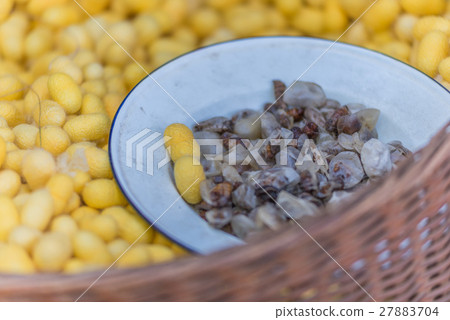 Silkworm cocoon in basket 27883704