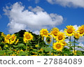 Summer vacation 27884089