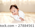 baby 27884561