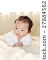 baby 27884562