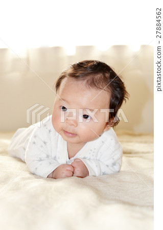 baby 27884562